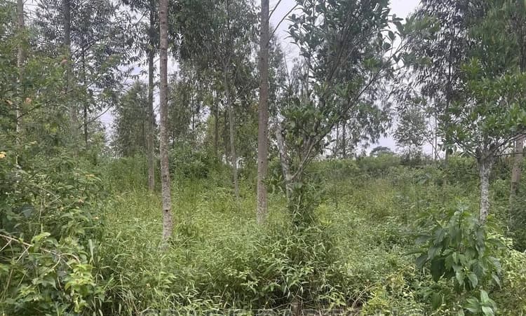 50ft by 100ft plot for sale for 15 million shillings in Namayumba estate on Hoima Road Photo 1