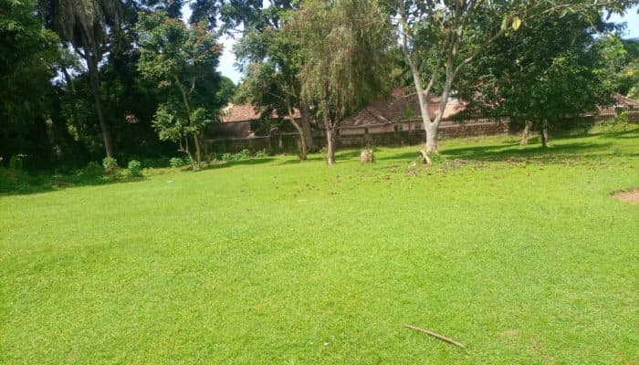 Bugonga 1.6 acres 3.5 billion Photo 1